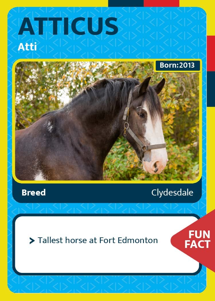 Fort Edmonton Park Marketing - Image 29