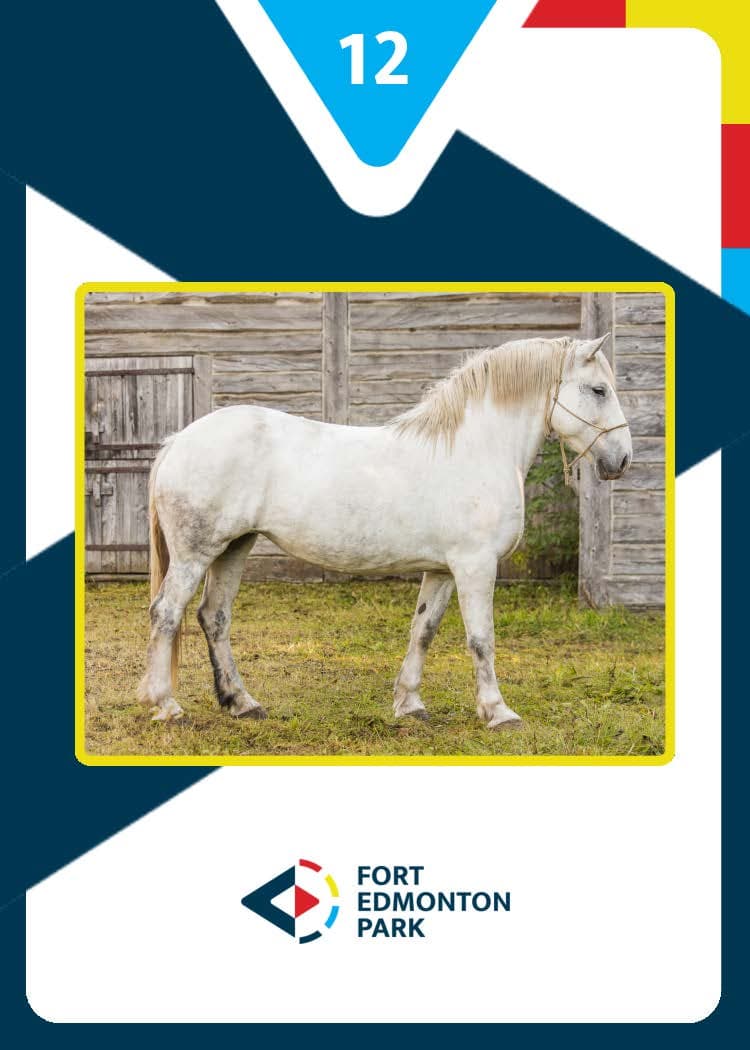 Fort Edmonton Park Marketing - Image 40