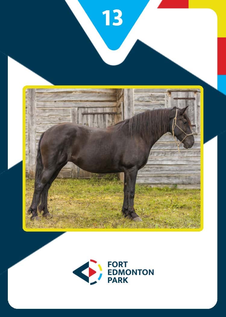 Fort Edmonton Park Marketing - Image 42