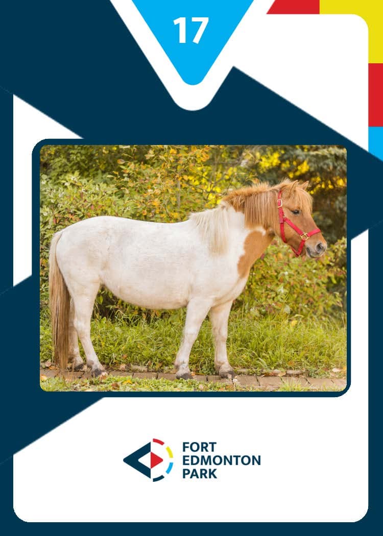 Fort Edmonton Park Marketing - Image 50